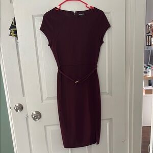 Express Burgundy Dress